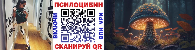 Купить закладки  Лебедянь  Галлюциногенные грибы GOLDEN TEACHER 